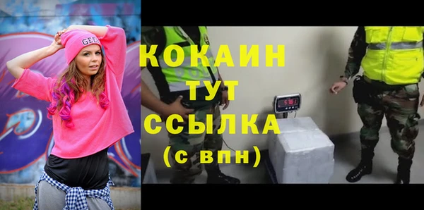крисы Абаза