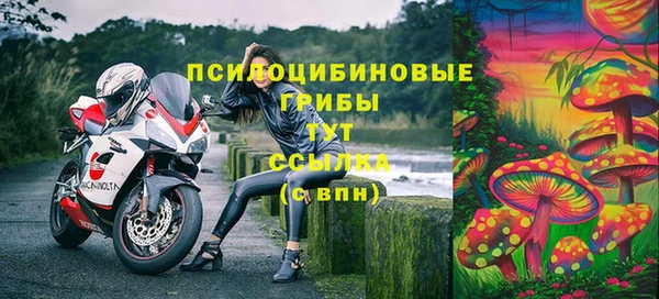 крисы Абаза