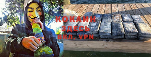 крисы Абаза
