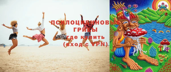 крисы Абаза